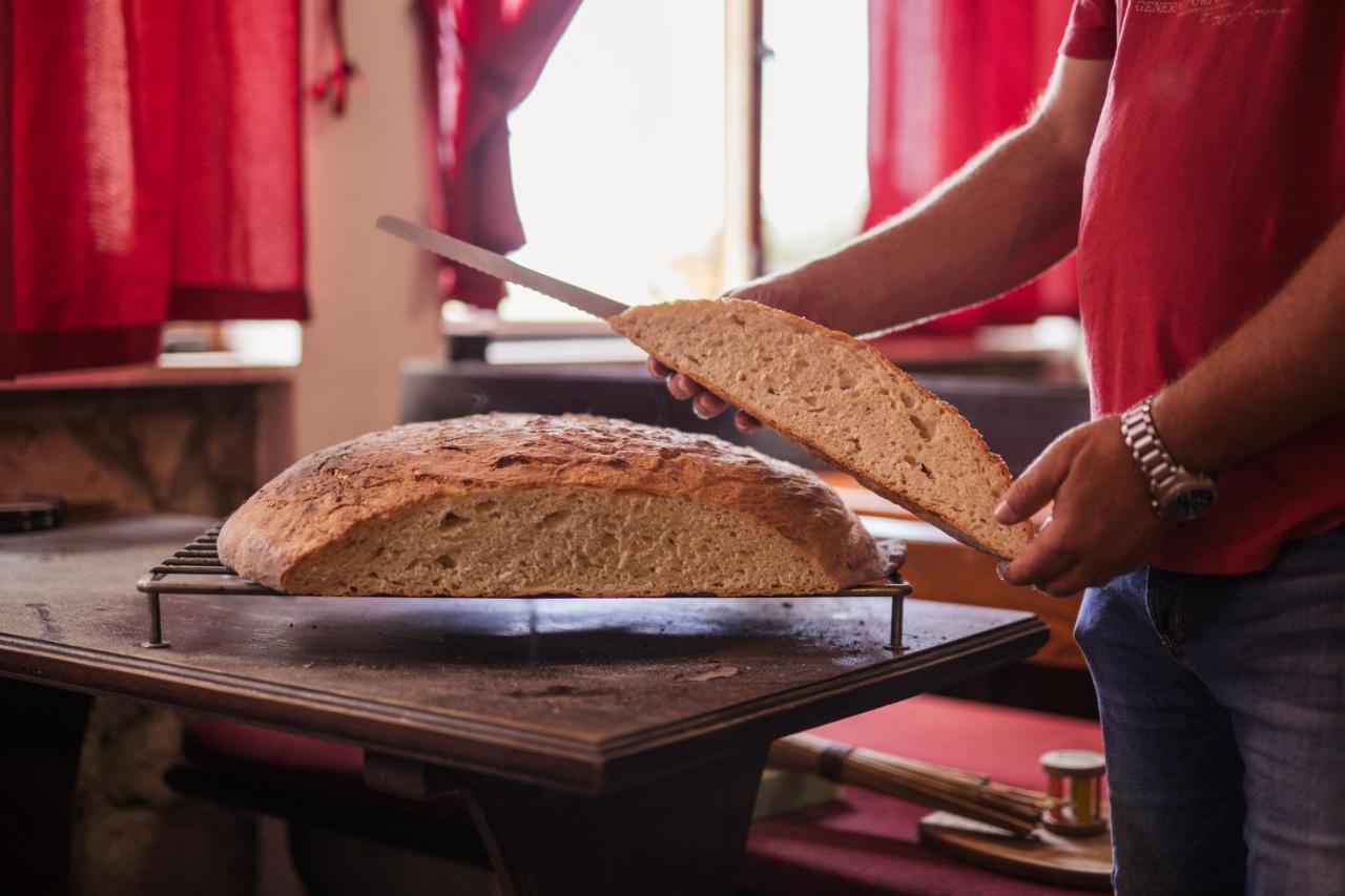 Bed&Breakfast Agroturizam Antunovic Kuna Pelješka Dış mekan fotoğraf
